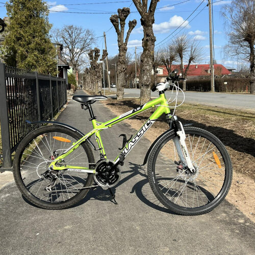 Classic Legend 26″ Jalgratas - Roheline